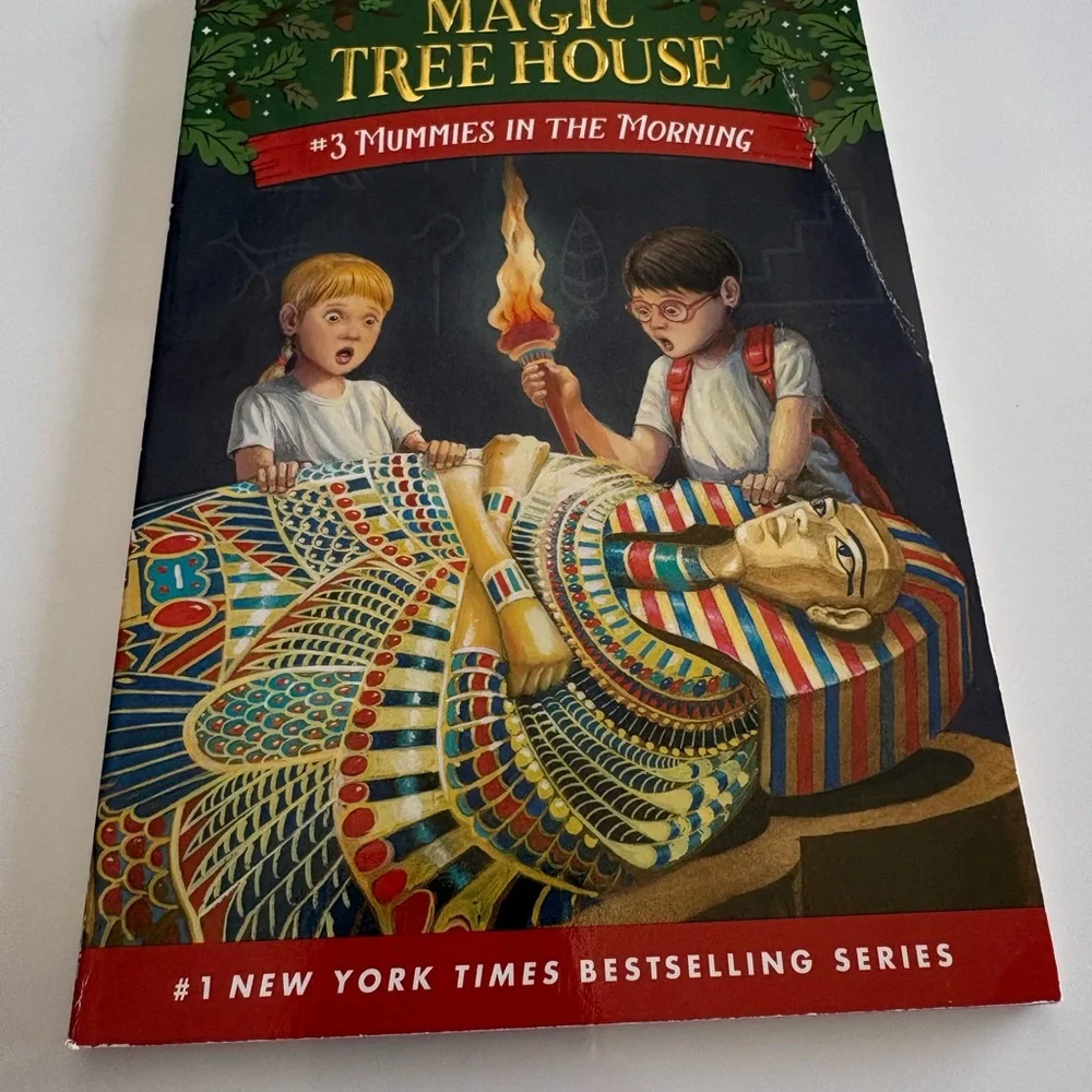 Magic Tree House Book Set